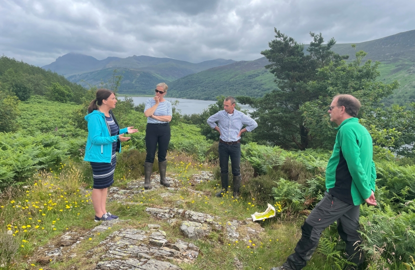 Trudy meets with Forestry England for update on Wild Ennerdale project 