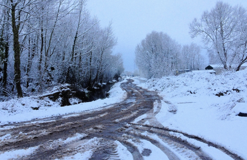 Snowy Road