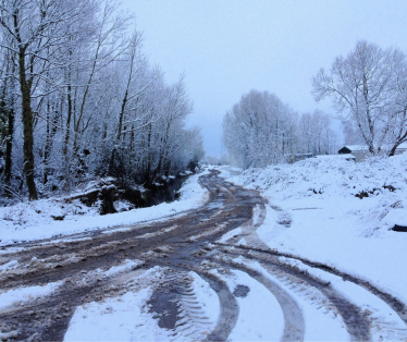 Snowy Road